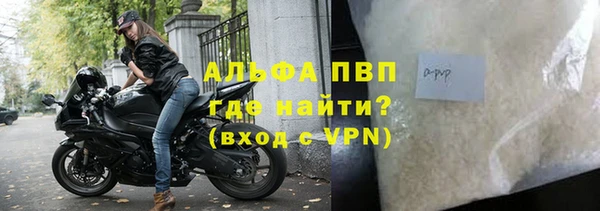 стаф Козловка