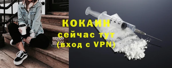 стаф Козловка