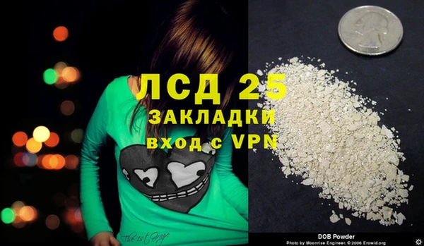стаф Козловка