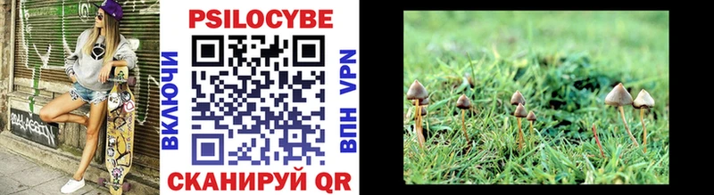 где можно купить   Николаевск-на-Амуре  Галлюциногенные грибы Magic Shrooms 