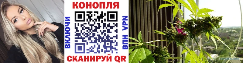 KRAKEN онион  Николаевск-на-Амуре  Каннабис марихуана 